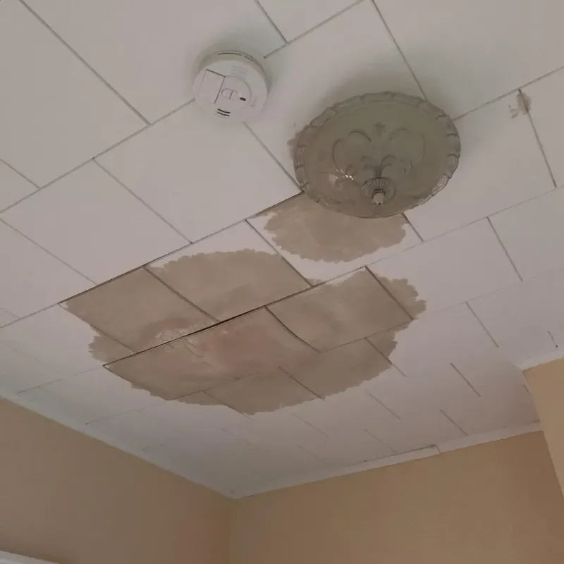 Ceiling Water Damage Repair in Plano, TX