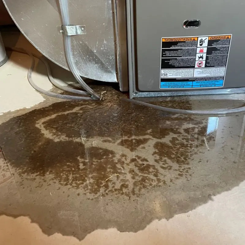 Pipe Burst and Leak Restoration in Plano, TX